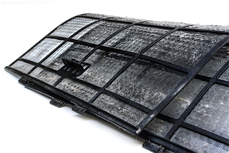 Black air filter? Alpine Temperature Control St.